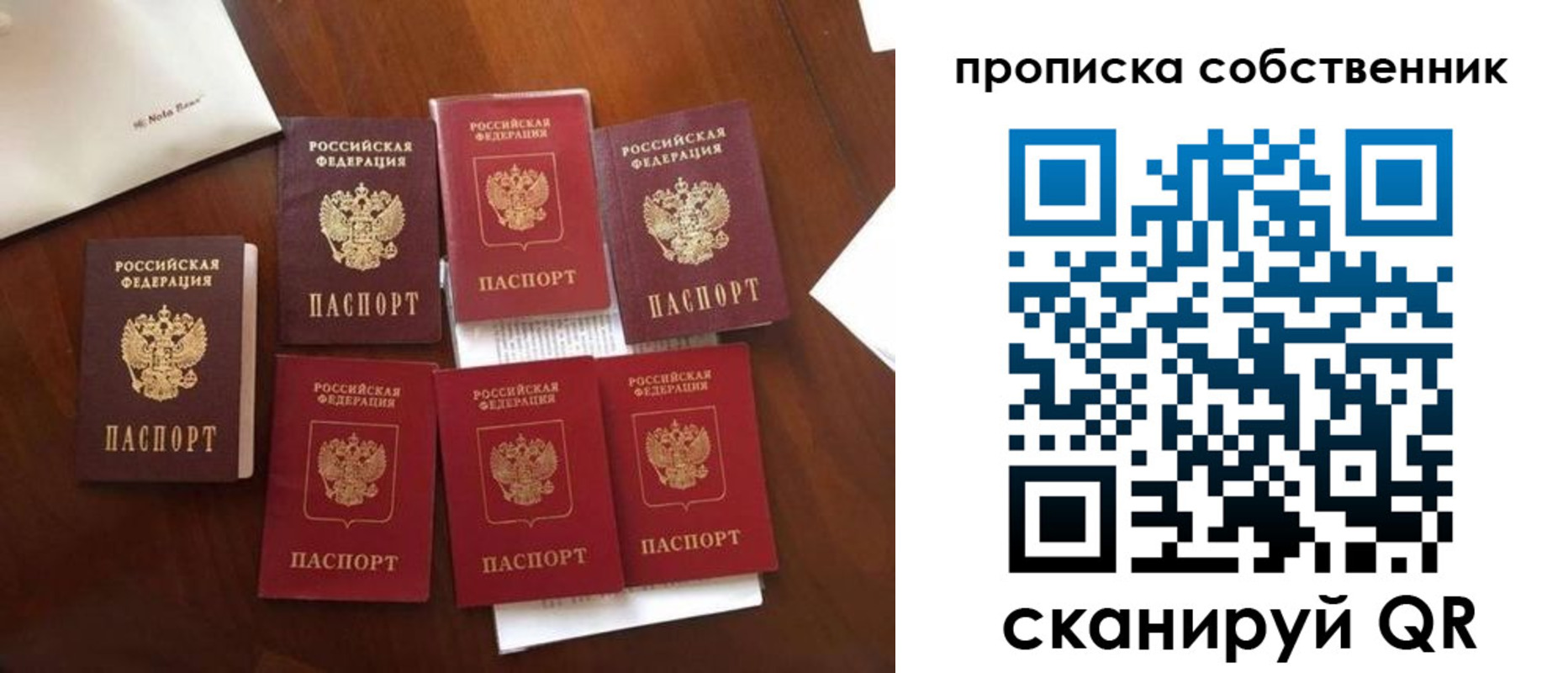 прописка для школы в Сорске